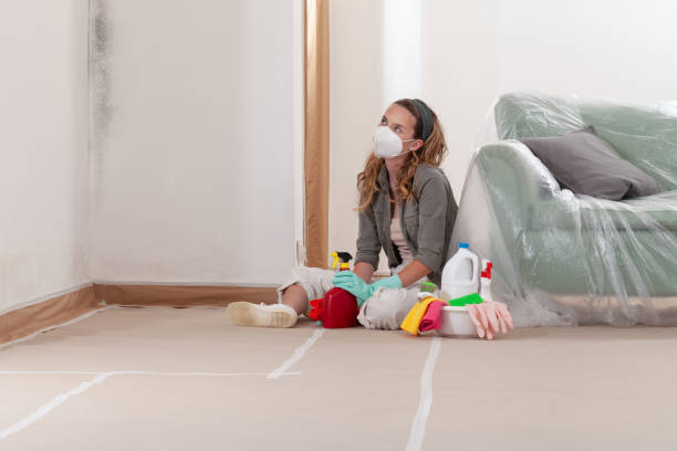Reliable Mold Cleanup contractor in New Milford, IL by Cheap Mold Removal